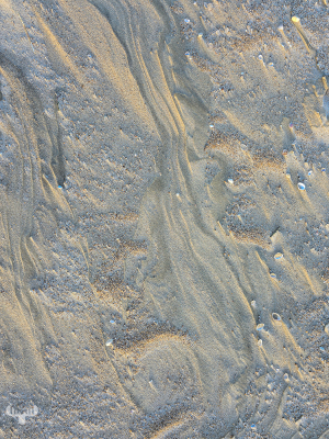 13502 - Moonlike Danish beach