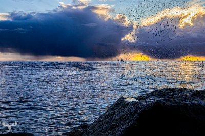 13551 -  Splashing wave drops at Hivde Sande pier at sunset