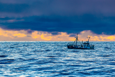 13559 - Sunset sky with fishing boat at Hvide Sande North Sea