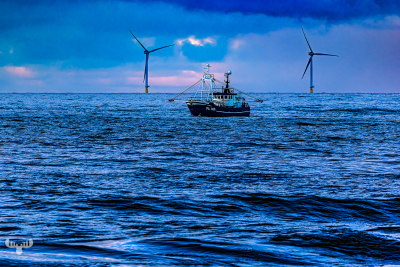 13562 - Fishing boat and wind turbines at Hvide Sande North Sea