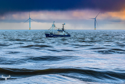 13563 - Two wind turbines and fishing boat at sunset close to Hvide Sande