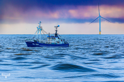 13564 - Northsea, Wind Turbine, Fishing boat at sunset close to Hvide Sande