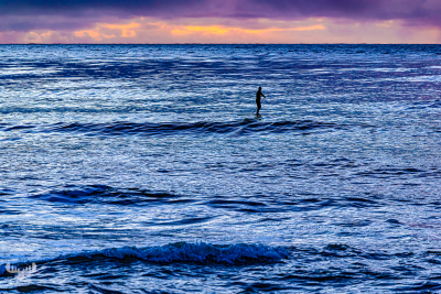 13577 - Hvide Sande North Sea with SUP stand up paddler at sunset