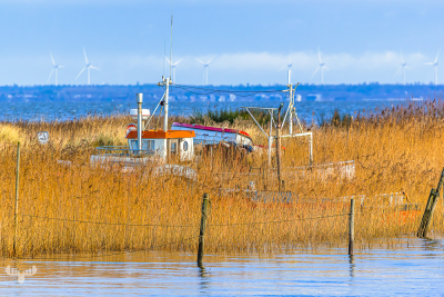 13589 - Fishing boats hiden in reeds at Tysherhavn