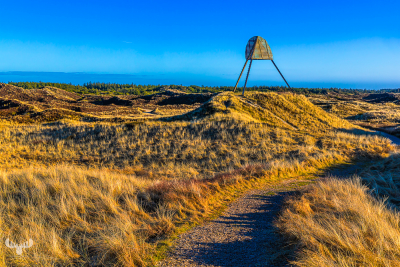 sz13594 - Kærdgård Båke seamark in the dunes and heather landscape