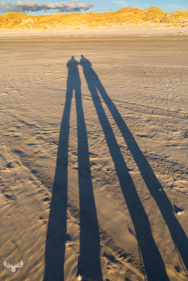 13602 - Shadows of couple on Kærgård Strand beach
