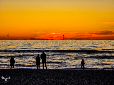 13629 - Family at Northsea sunset in Søndervig