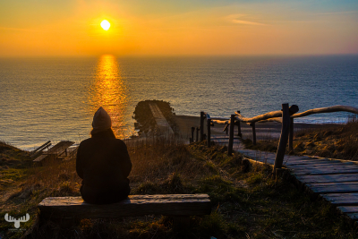13652 - Person outlook over North Sea at Bovbjerg Klint