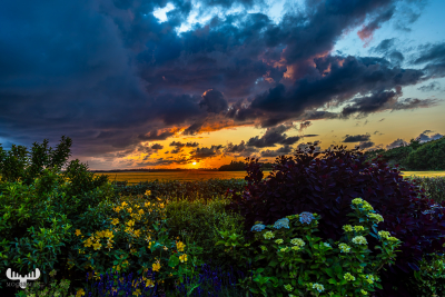 13676 - Kloster Sunset over fields