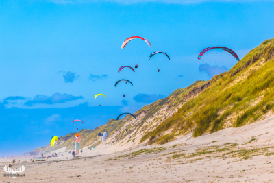 13680 - Paragliders roaming above Northsea Dunes