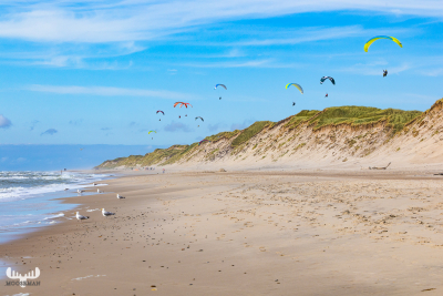 13689 - Paragliders over dune ridge at North Sea in Vedersø Klit