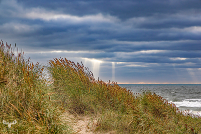 13725 - Sunrays through clouds, dunes and North Sea