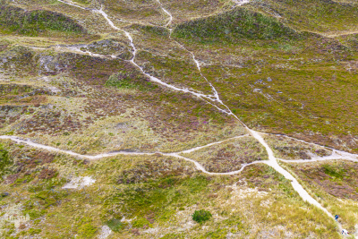13728 - Heather and dune landscape from above