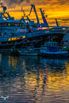 13734 - Ships in Hvide Sande harbour with sunset