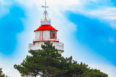 13773 - Sletterhage Fyr Lighthouse top with tree