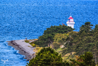 13787 - Sletterhage Fyr Lighthouse behind trees