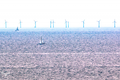 13788 - Sletterhage sea with wind turbines and sailing boats