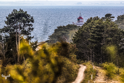 13793 - Sletterhage Fyr Lighthouse top behind trees