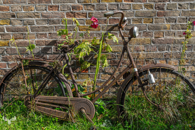 13860 - Kaj Munks Præstegård old bicycle