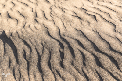 13897 - Sand structures on North Sea beach