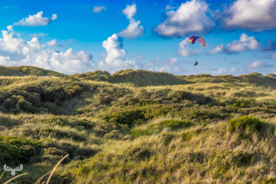 13901 - Paragliding over dune landscape