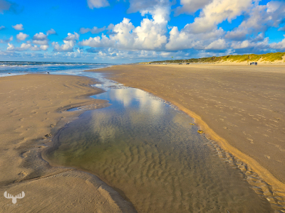 13938 - Vejers Sydstrand North Sea, beach and dunes