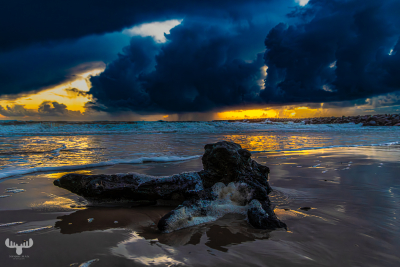 14015 - Hvide Sande South beach driftwood at North Sea sunset