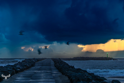 14020 - Hvide Sande South beach pier with flying birds