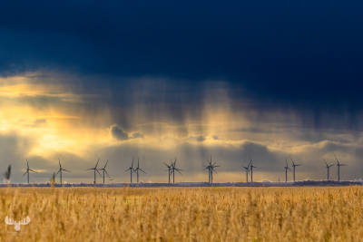 14107 - Wind turbines under dramatic morning sky