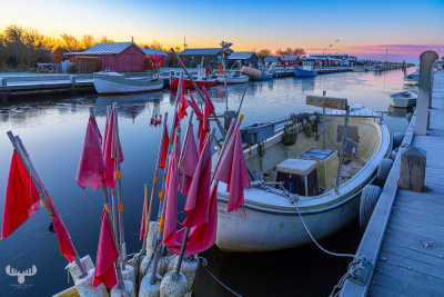 14121 - White frost at Stauning Havn harbour