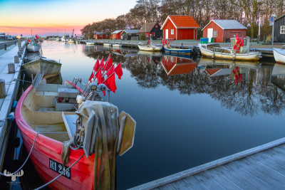 14124 - Sunrise at Stauning Havn harbour