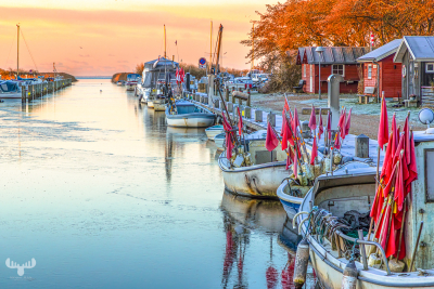 14130 - Warm sunrise at Stauning Havn harbour