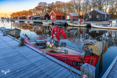 14131 - Sunrise on a frosty morning at Stauning Havn harbour