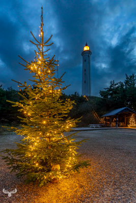14150 - Nr.Lyngvig Fyr lighthouse in the evening - with Christmas tree