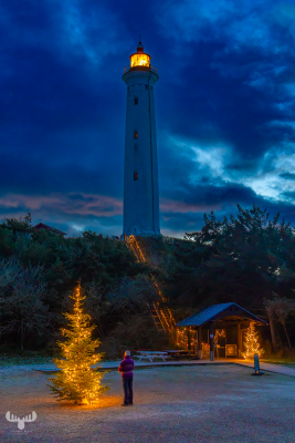 14151 - Nr.Lyngvig Fyr lighthouse with Christmas tree and person
