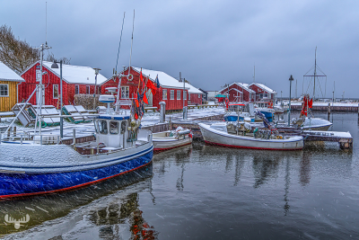 14178 - Ringkøbing Havn harbour in winter