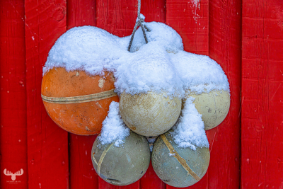 14179 - Fishing net floats at red hut with snow