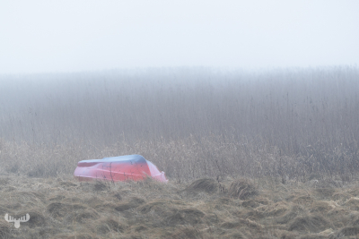 14236 - Red boatd in fog at Ringkøbing Fjord