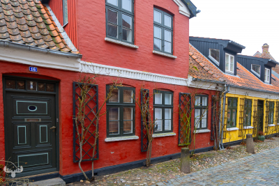 14249 - Colorful red and yellow houses in Ribe