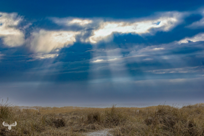 14293 - Magic sunrays over dunes and North Sea at Hvide Sande