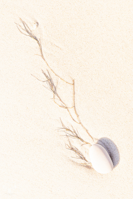14378 - Stone and sea grass structure on North Sea beach, Highkey