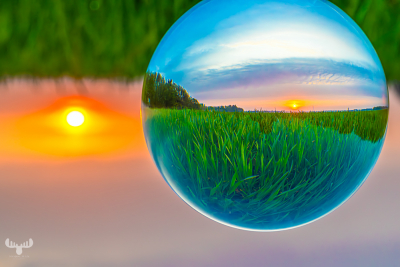 14422 - Gras Field in glass ball