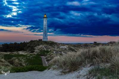 14462 - Nr.Lyngvig Fyr lighthouse at sunset with dunes