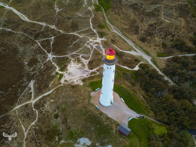 14474 - Nr.Lyngvig Fyr lighthouse from above with tracks in heather land