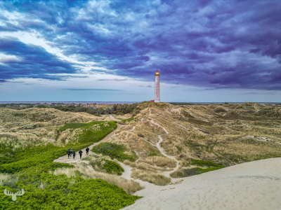14476 - Nr.Lyngvig Fyr lighthouse  from dune with people