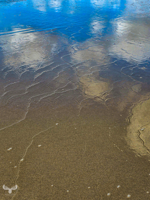 14504 - North Sea beach mirroring sky