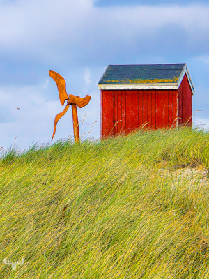14510 - Red hut with wind turbine model in Hvide Sande