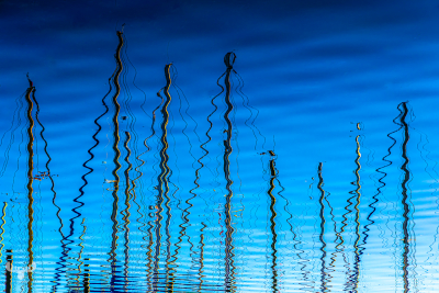 14581 - Sailing boat masts mirrored in water