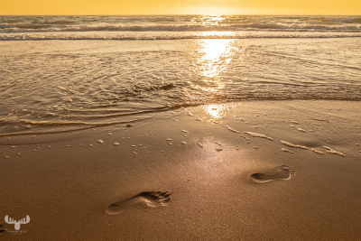 14621 - Footsteps in beach sand at sunset