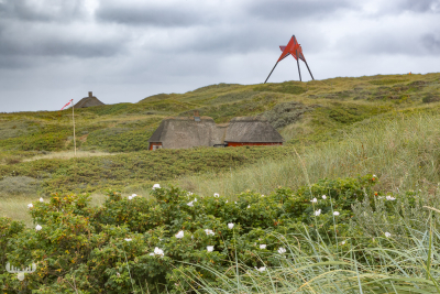 14667 - Vedersø Klit Båke seasign and summer houses